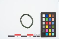 Foto von Bronzering (NHMW-PRAE-026374)